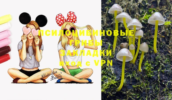 прущие грибы Абдулино