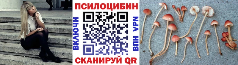 Галлюциногенные грибы прущие грибы  купить наркотик  Балахна 